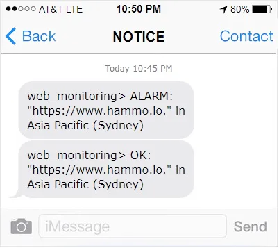 Example text message notification